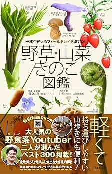 石川県版　山菜・木の実ガイドブック 石川県版 山菜・木の実ガイドブック